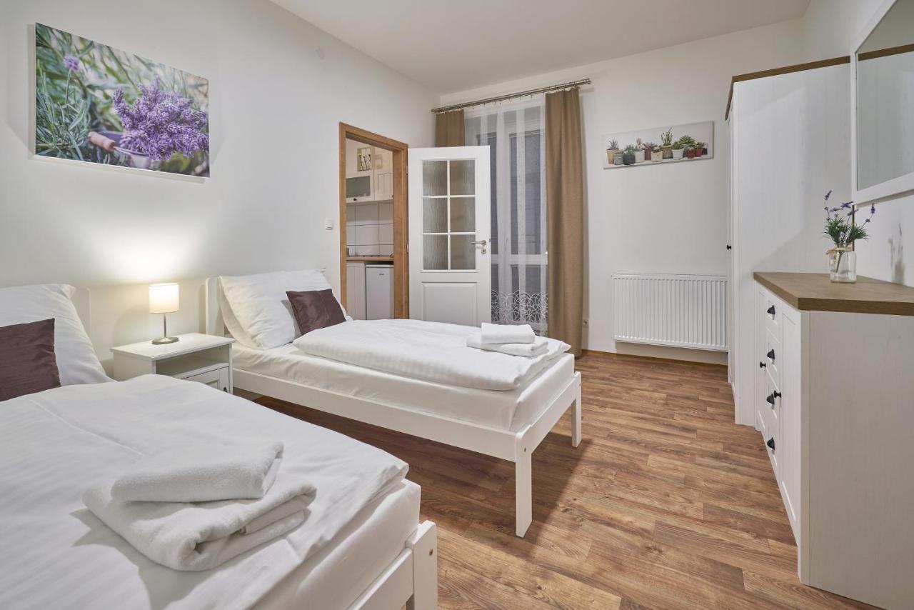 Pension Varta Janské Lázně Buitenkant foto